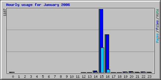 Hourly usage for January 2006